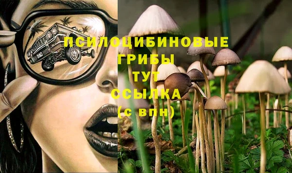 ПСИЛОЦИБИНОВЫЕ ГРИБЫ Армянск