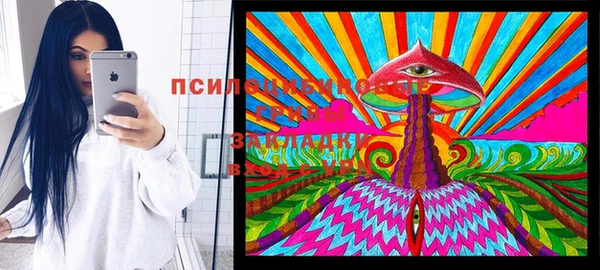 ПСИЛОЦИБИНОВЫЕ ГРИБЫ Армянск