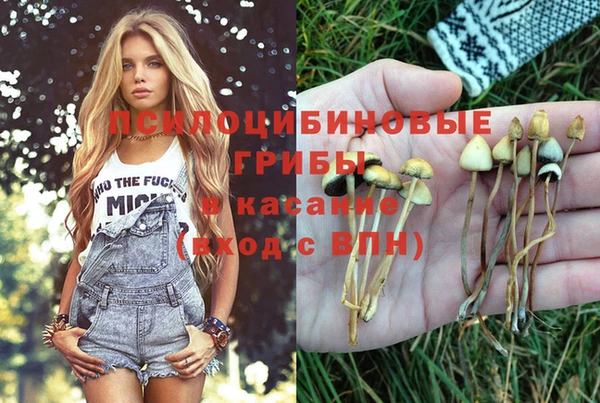 экстази Аркадак