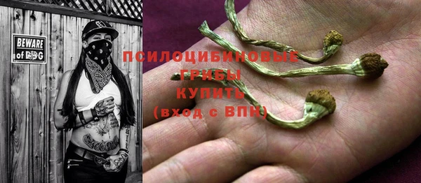 ПСИЛОЦИБИНОВЫЕ ГРИБЫ Армянск