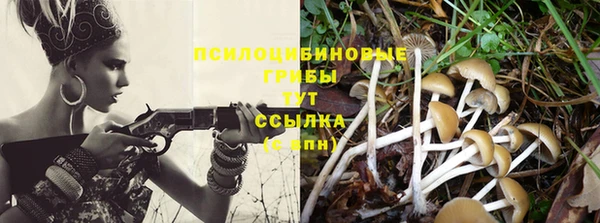 МДМА Арсеньев