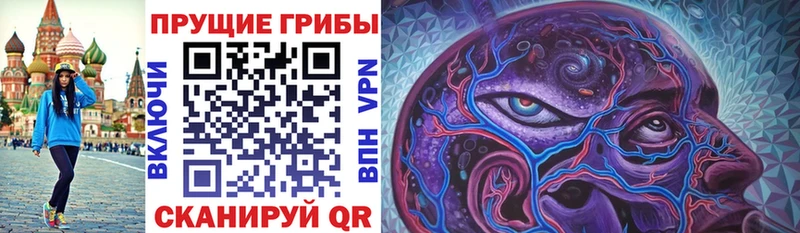 Псилоцибиновые грибы Psilocybine cubensis  сколько стоит  Суджа 